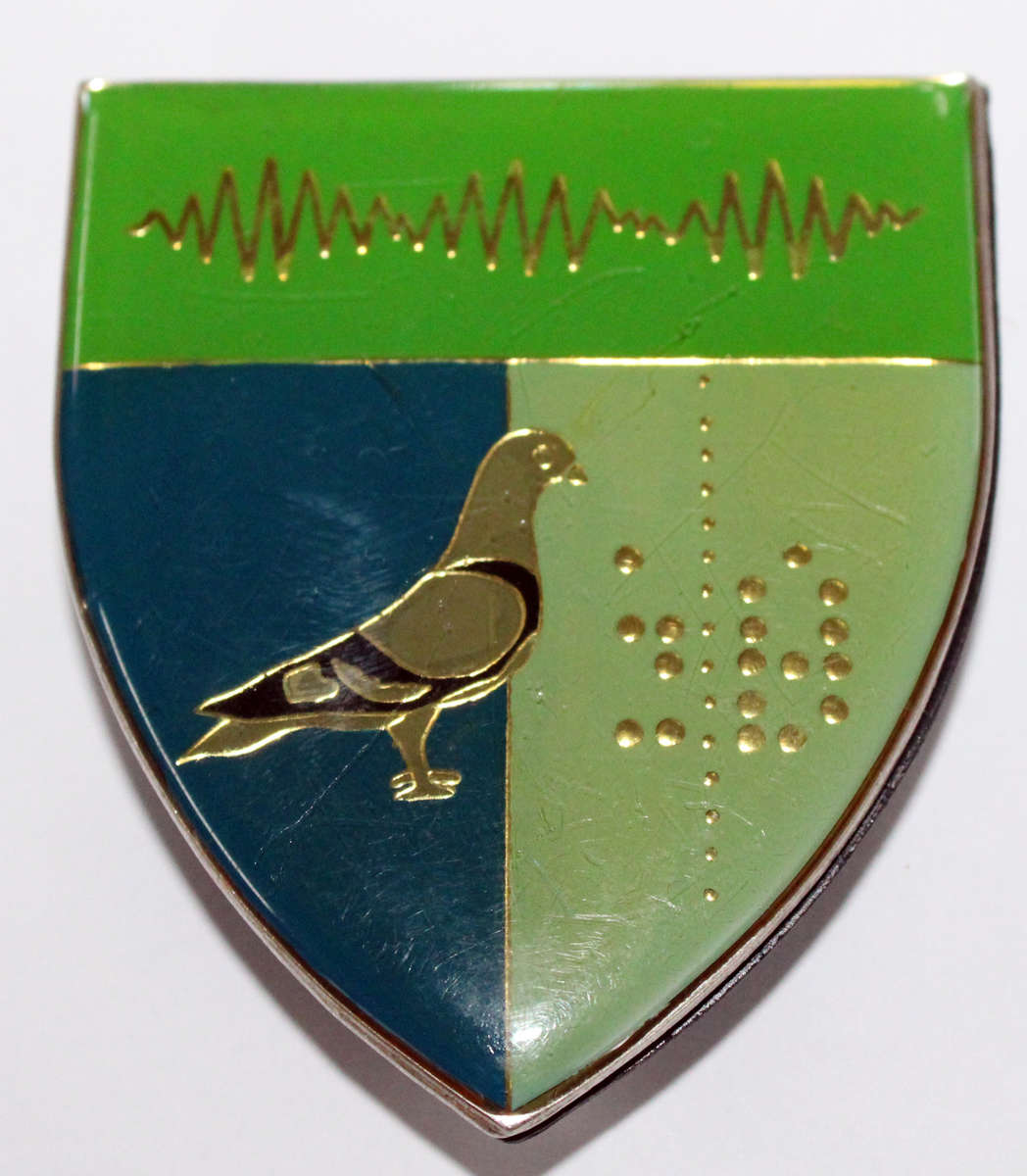 2 Signal Regiment flash