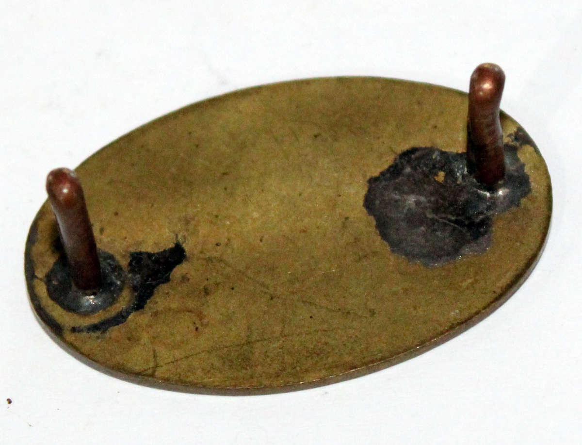 Essential Services Protection Corps collar badge