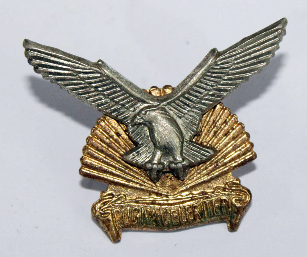 Durban Regiment collar badge