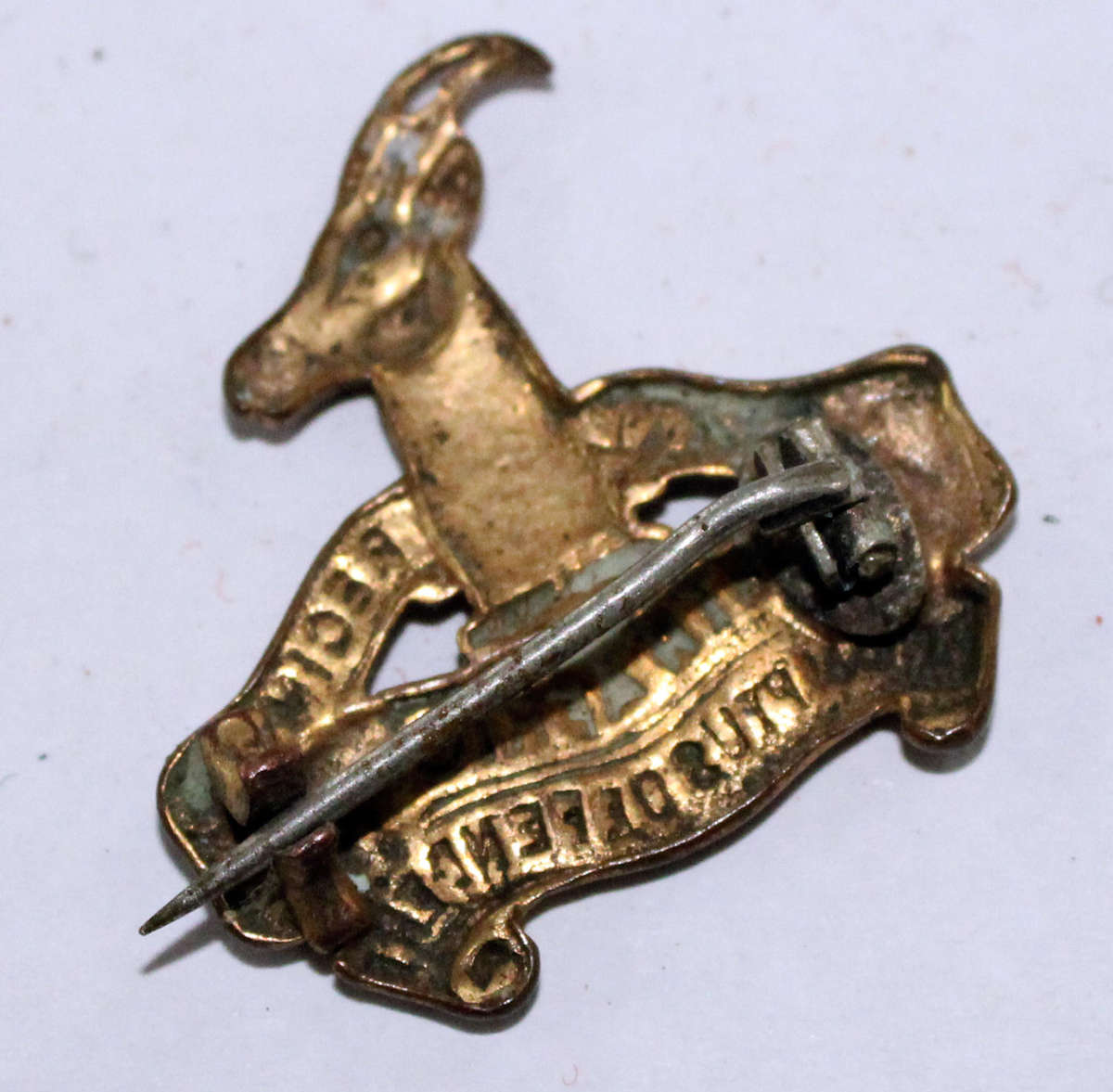 WW1 3rd SAI collar badge