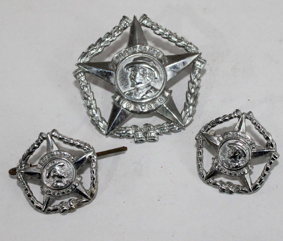 Regiment Botha badge set