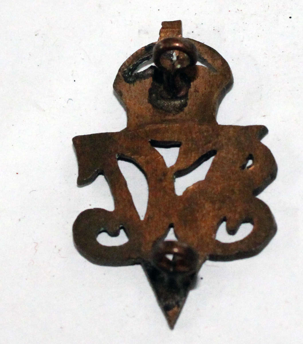 SA Veterinary Service Corps collar