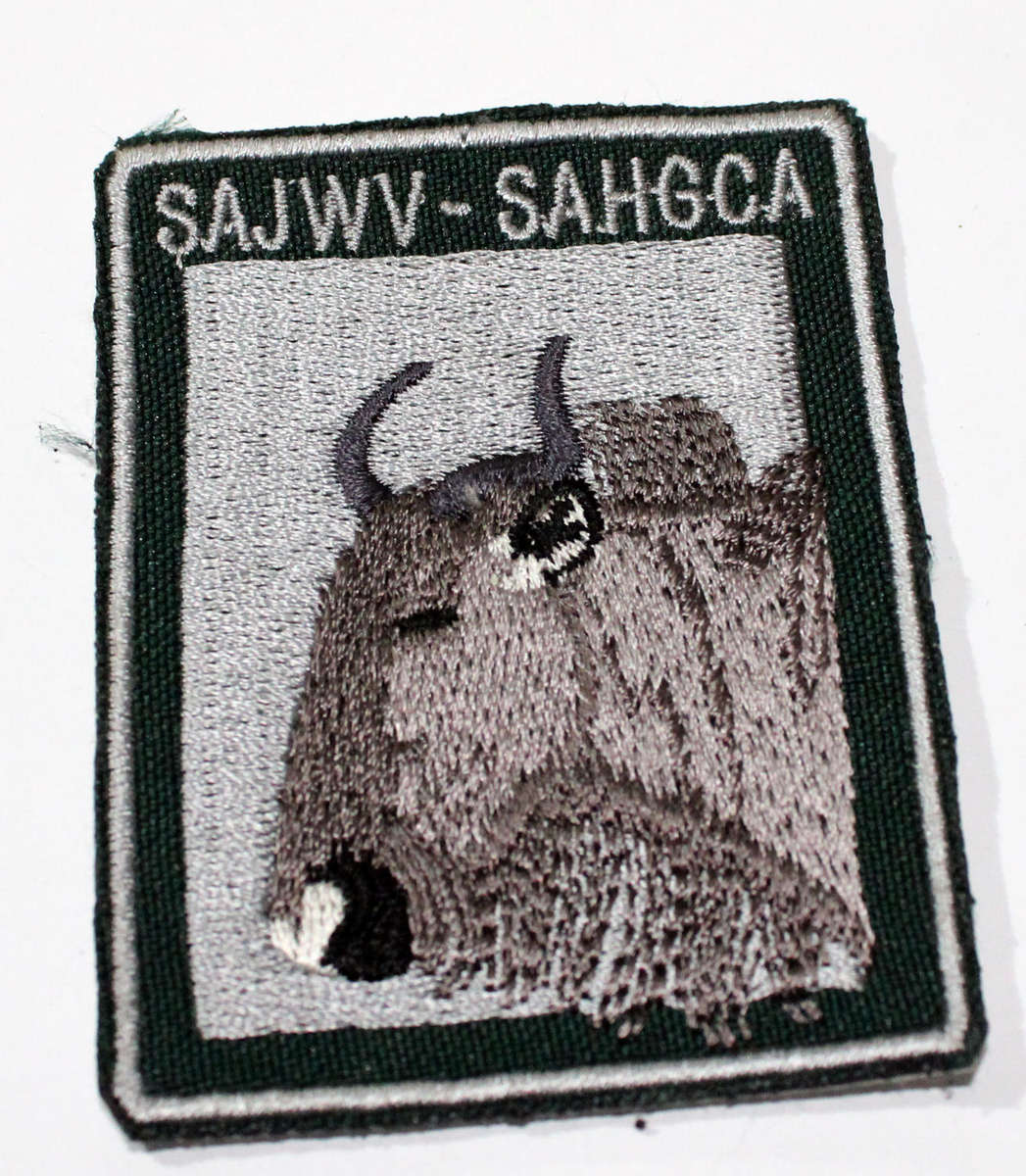 SAHGCA patch