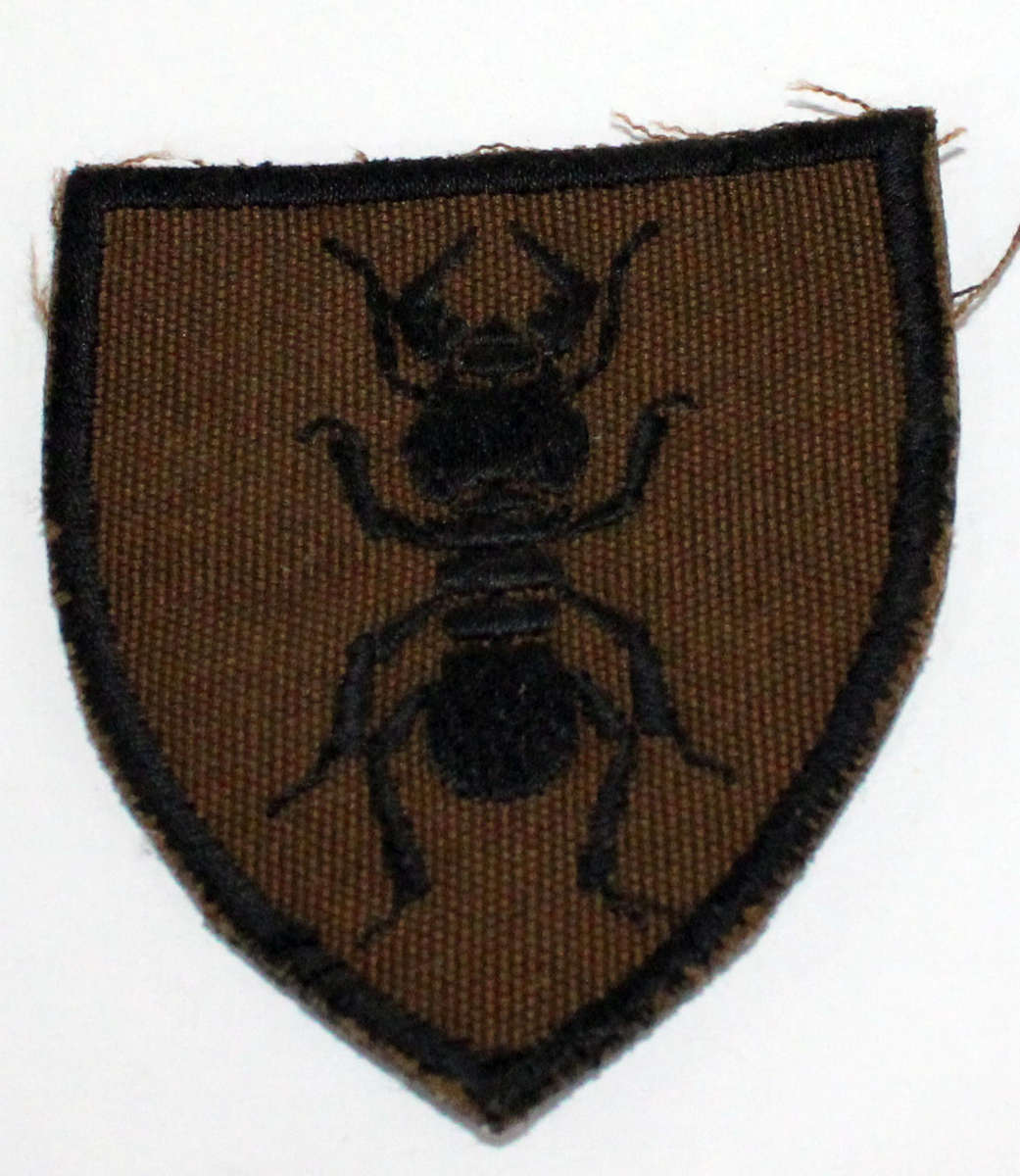 1 Construction Regiment nutria flash