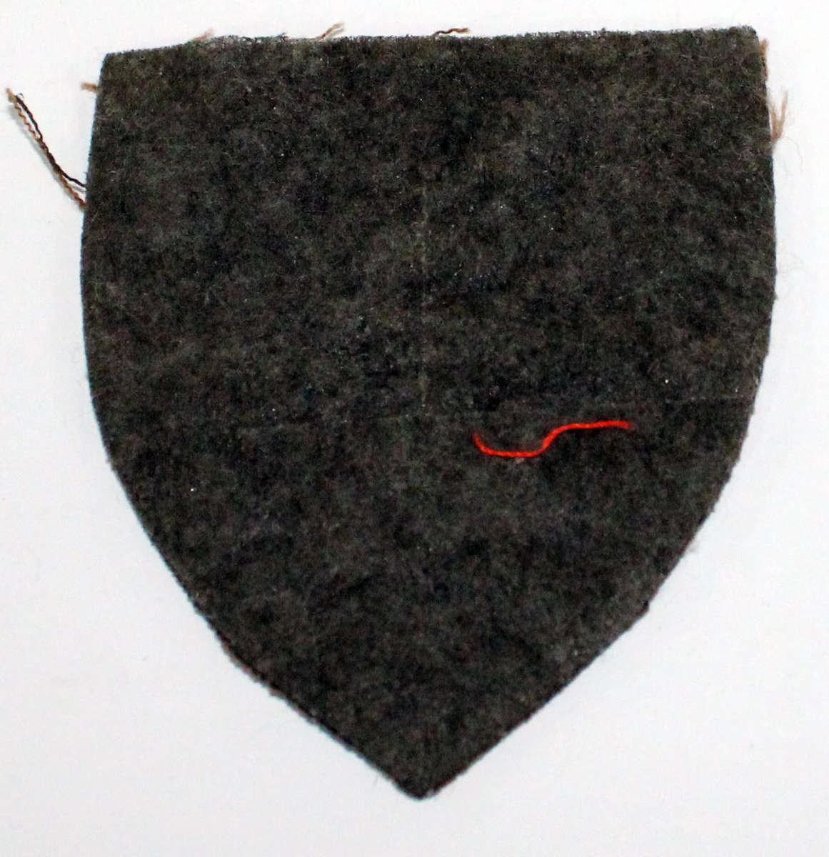 1 Construction Regiment nutria flash