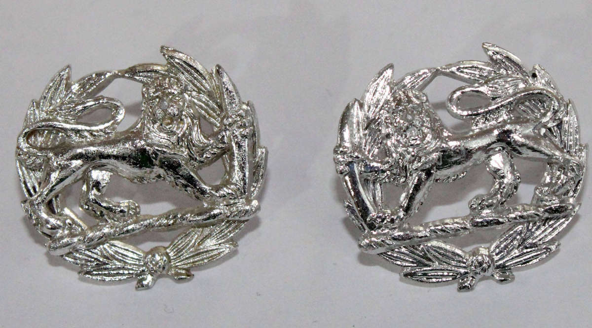 Facing pair of Rhodesian Major pips