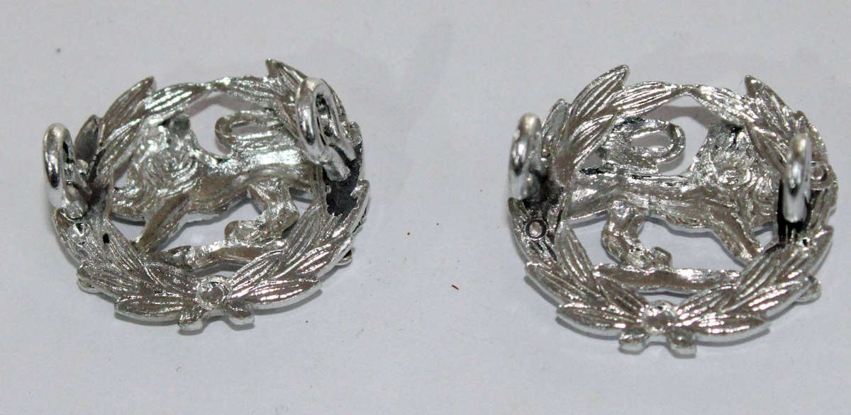 Facing pair of Rhodesian Major pips