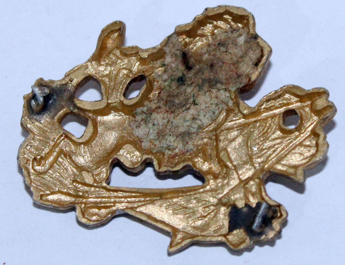 BSAP cap badge (no pins)