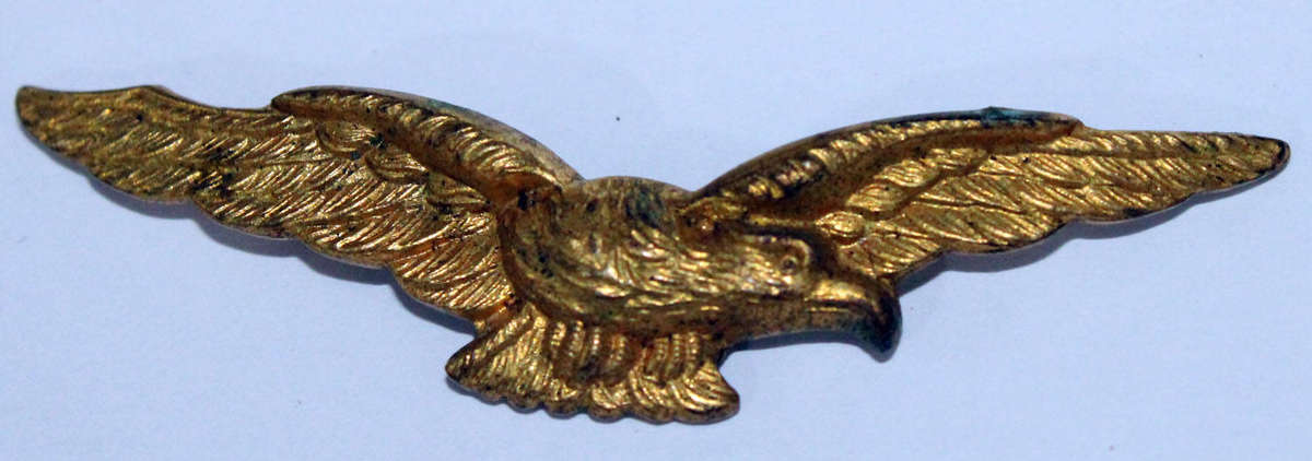 RAF badge (1 pin)