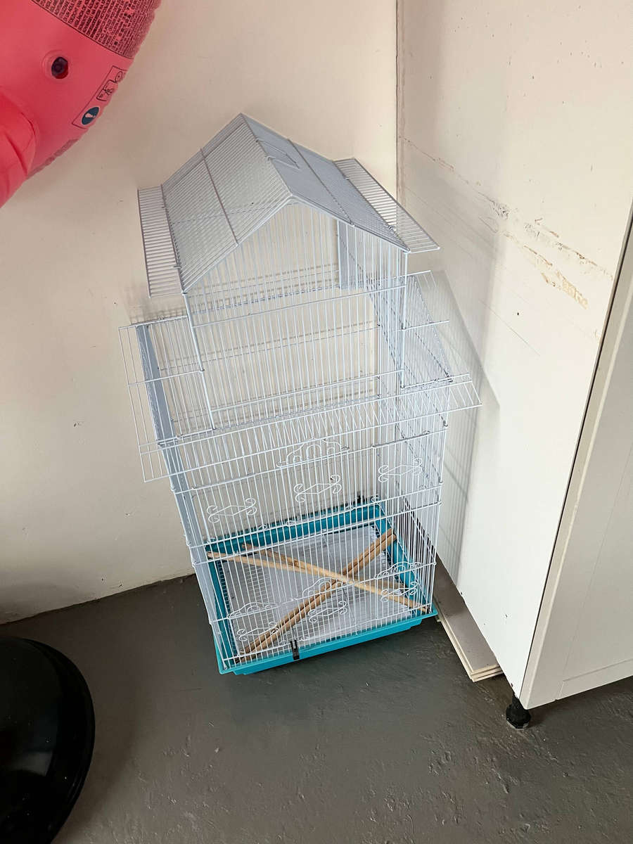 Cockatiel bird cage