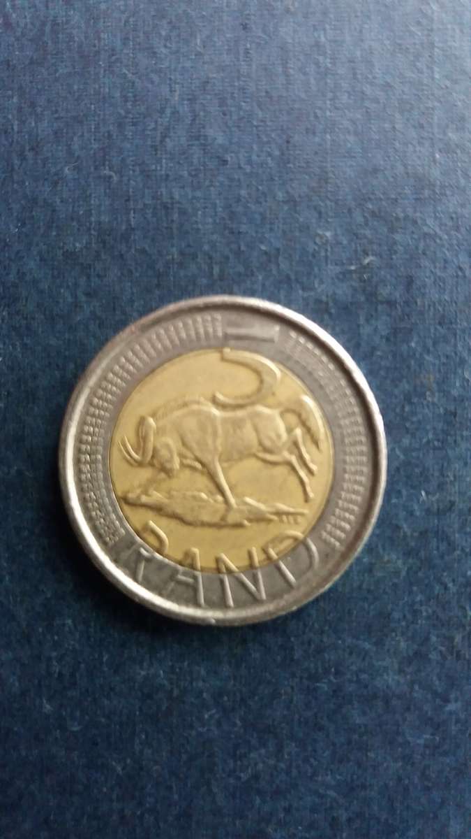 South Africa 2017 R5 * Wildebeest*