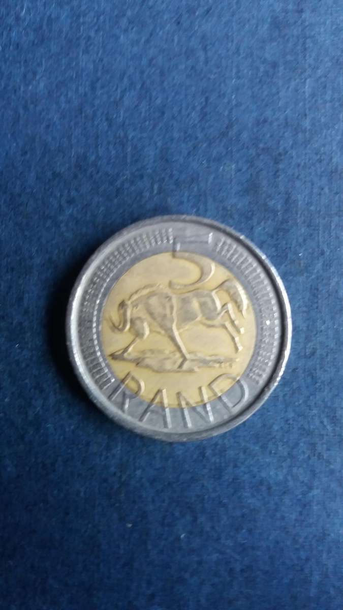 South Africa 2010 R5 - Wildebeest