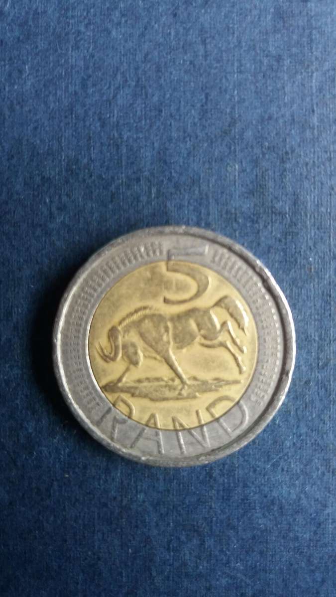 South Africa 2006 R5 - Wildebeest