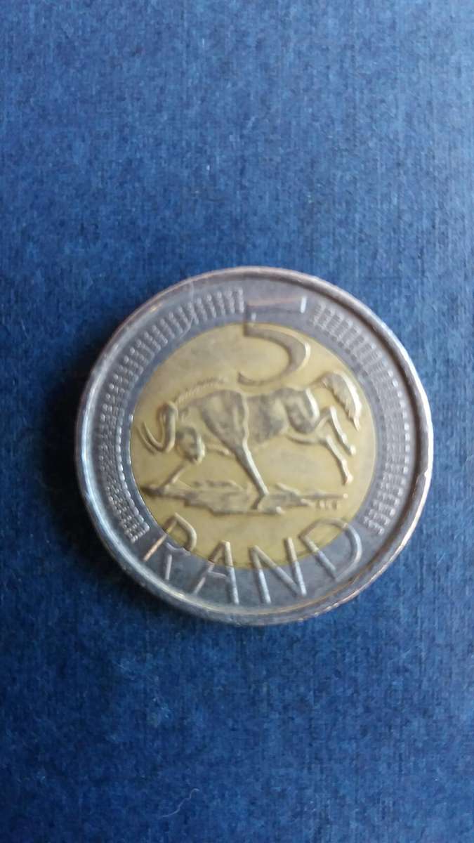 South Africa 2009 R5 - Wildebeest