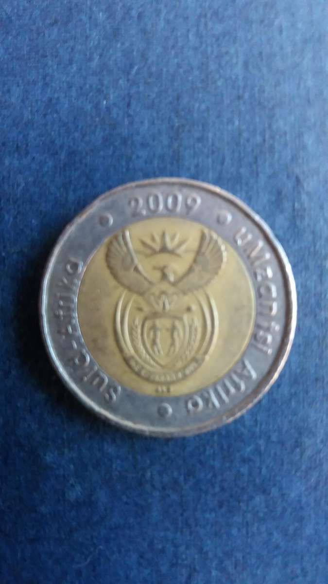 South Africa 2009 R5 - Wildebeest