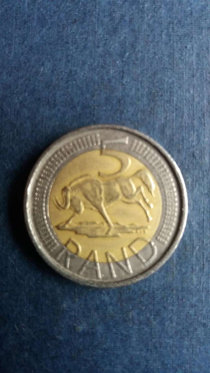 South Africa 2010 R5 - Wildebeest