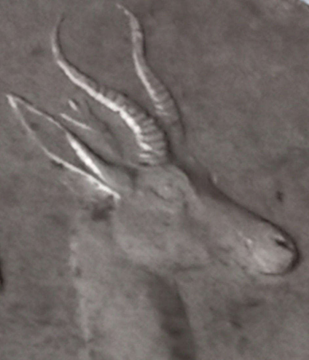 1966 1 RAND TAGG-EAR (AFR) ONLY 600 KNOWN