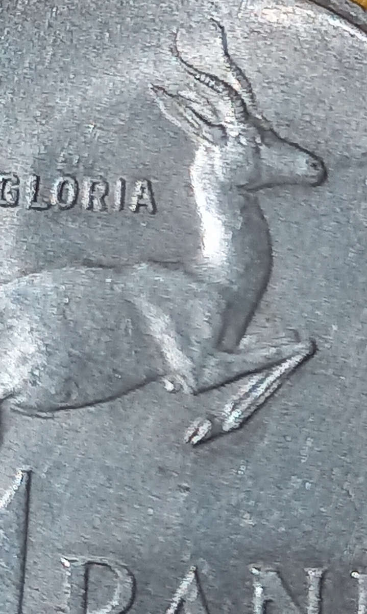 1966 SILVER 1RAND EAR TAGG. ONLY 600 KNOWN. 1 of 2