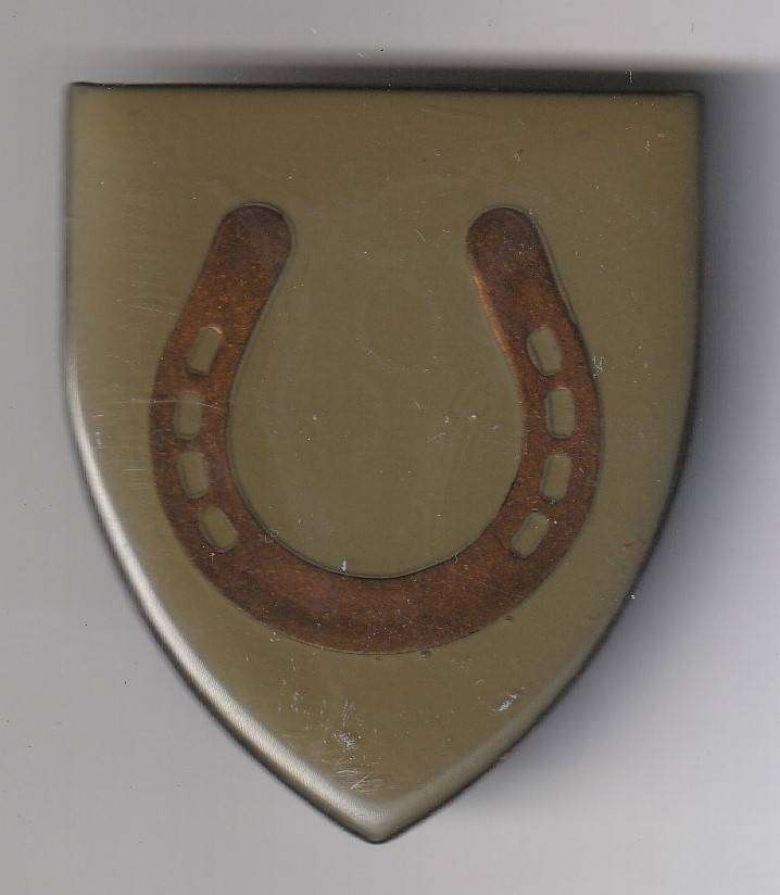 Flashes, Cap Badges and Buckels