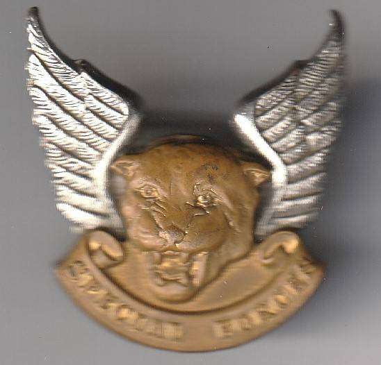 Flashes, Cap Badges and Buckels