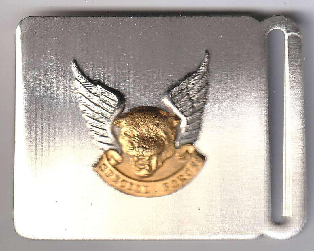 Flashes, Cap Badges and Buckels