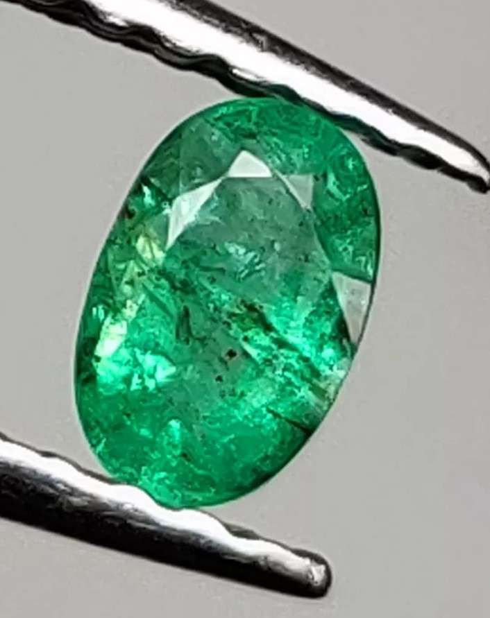 Natural 0.20 Fine Luster Emerald LOW BIDS