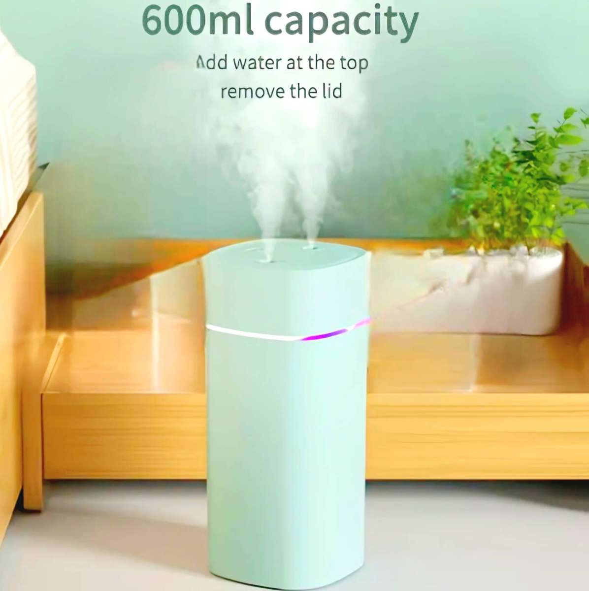 Humidifier with Night Light 600ml Dual Nozzle USB Mint Green