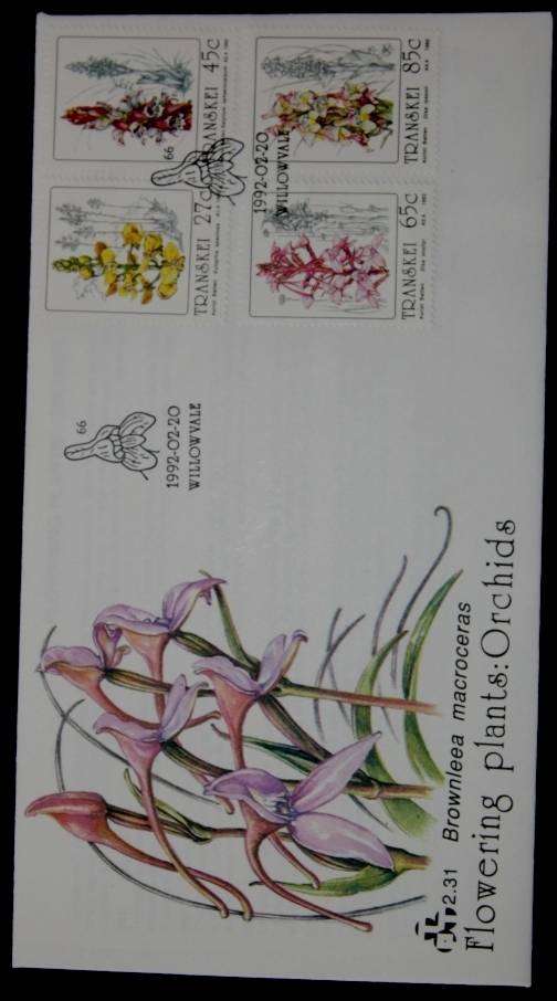 Transkei cover Flowering Plants *** crazy low start***