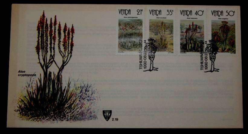 Venda Aloes cover*** crazy low start***