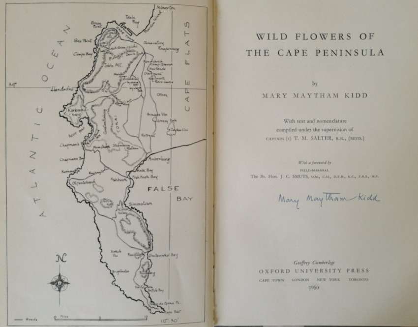 Cape Peninsula, Wild Flower guide