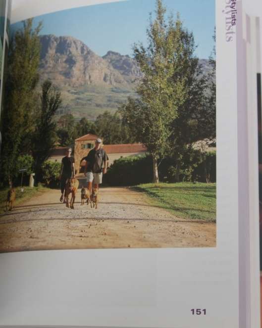 Mixed Case, a unique guide to the Cape winelands