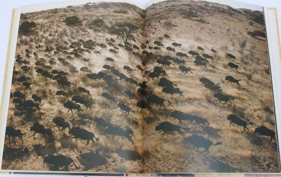 The National Parks of South Arica (Beautifully photographed)