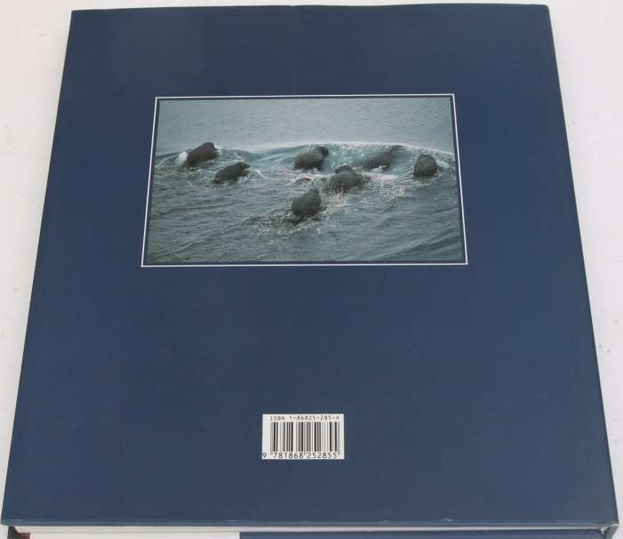 South Africa From the air. (Uniquely beautiful Bargain).