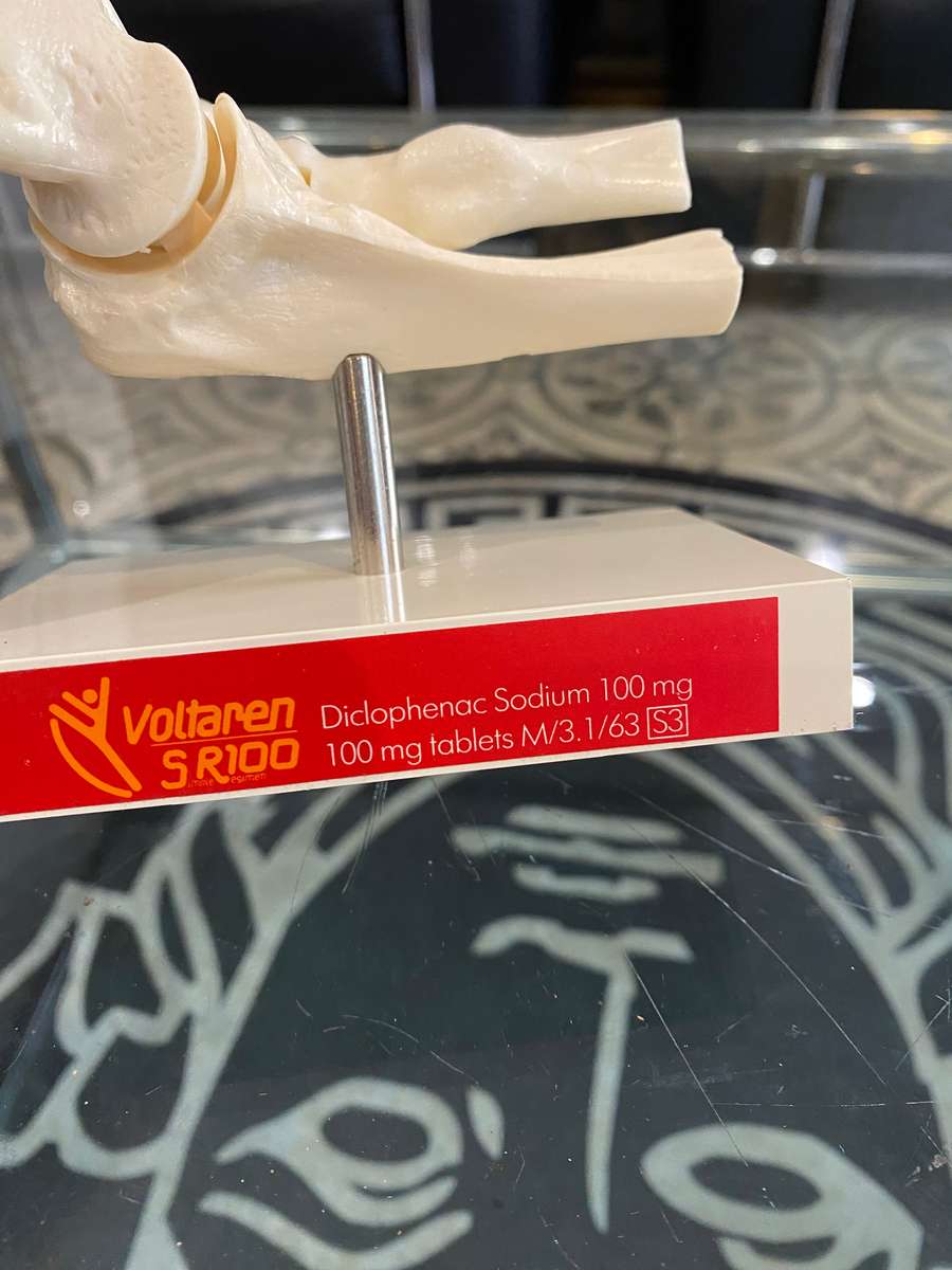 Human Elbow Joint Case