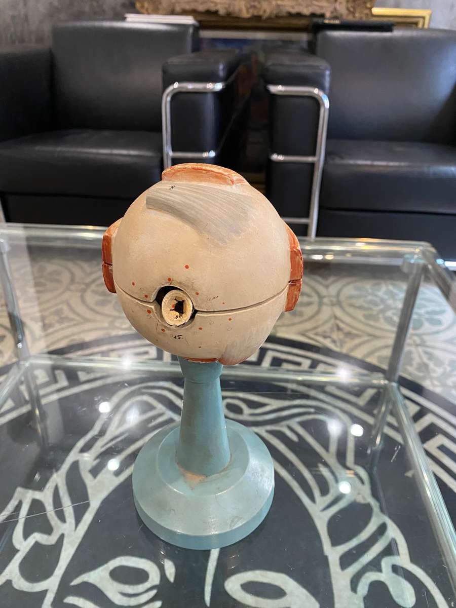 Anatomical Eye Model 1920s