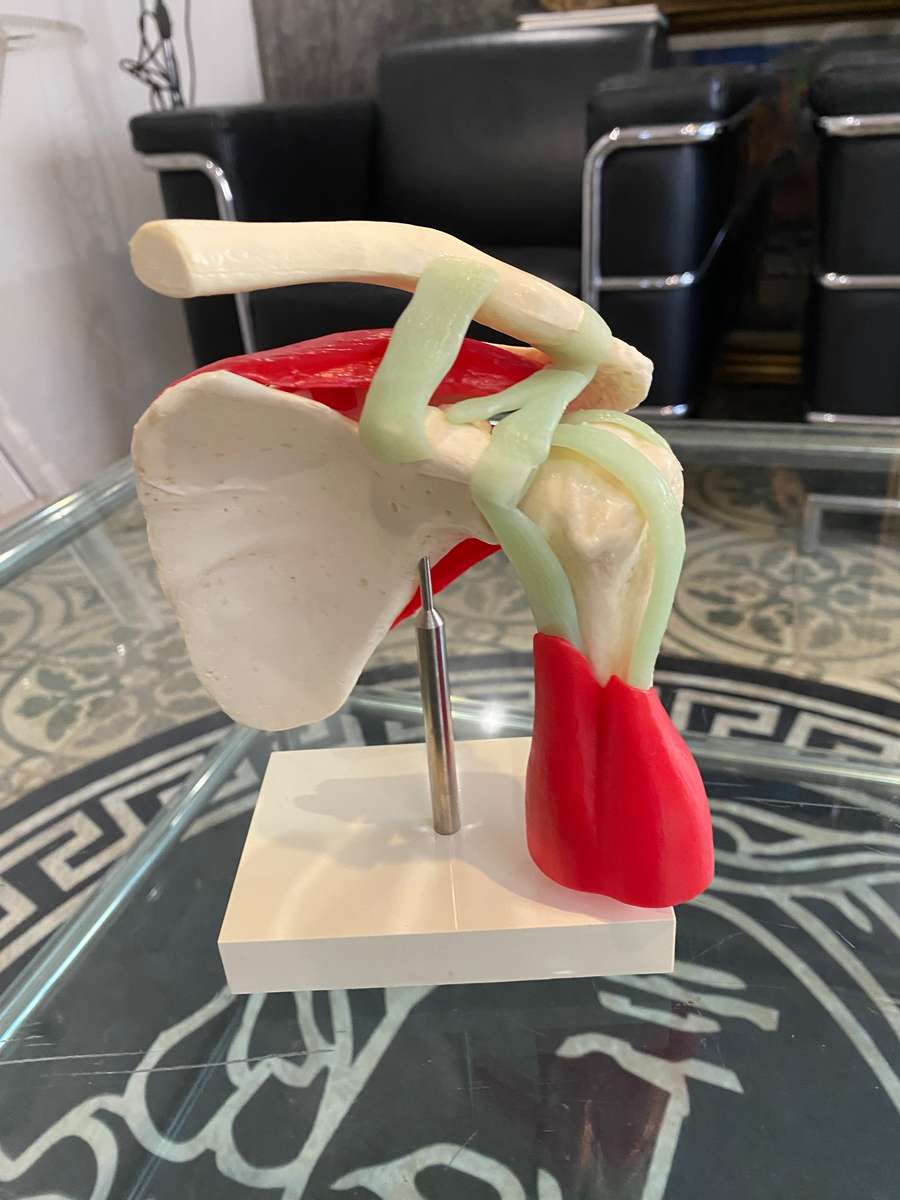 Voltaren Gel 50g for Human Shoulder Joint