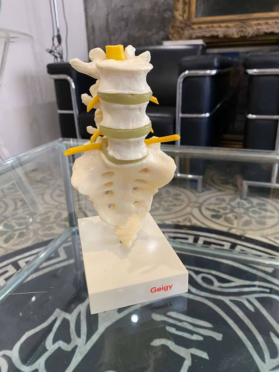 Voltaren Geigy Spine
