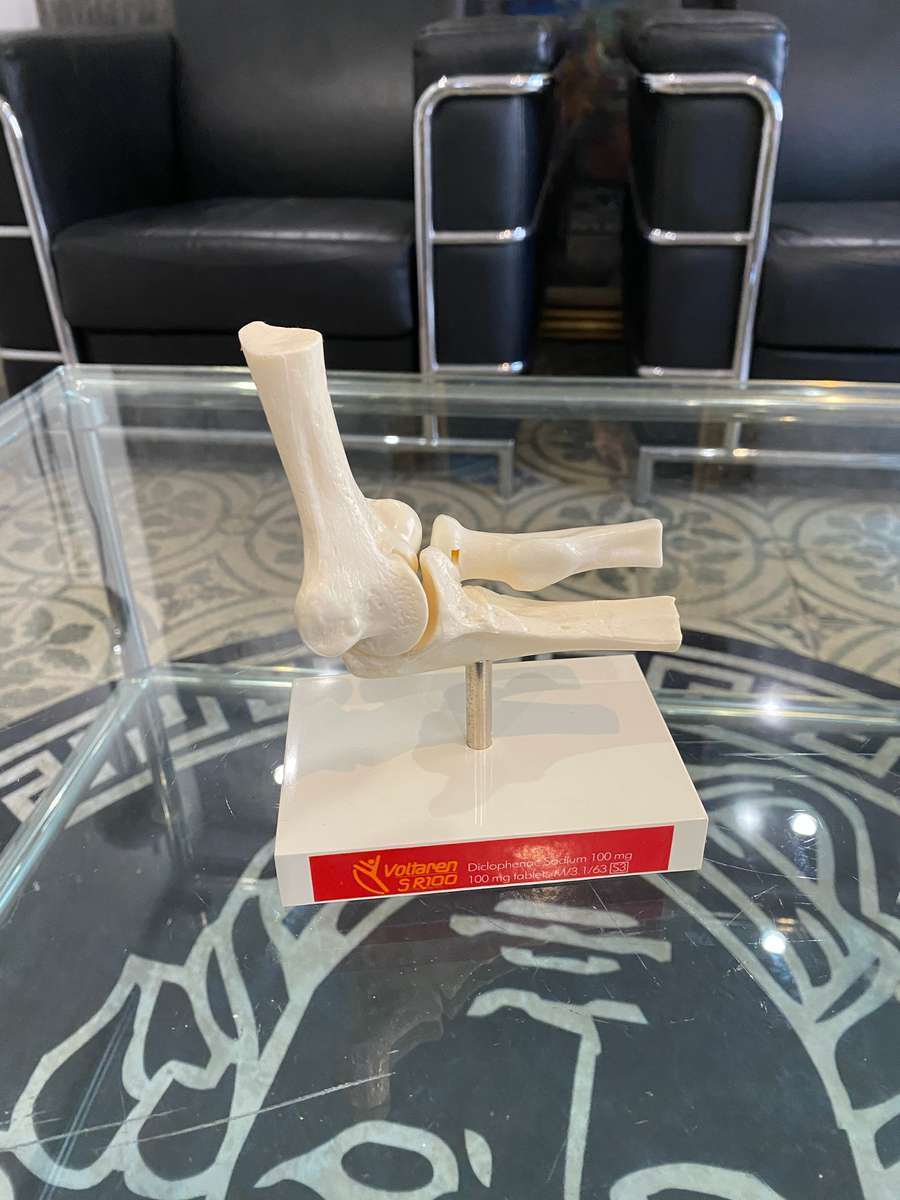 Human Elbow Joint Case