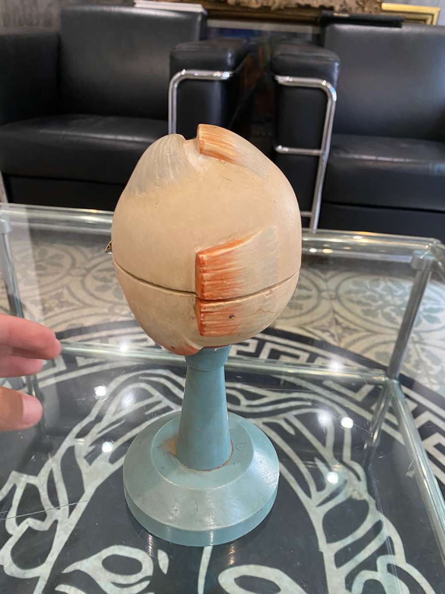 Anatomical Eye Model 1920s