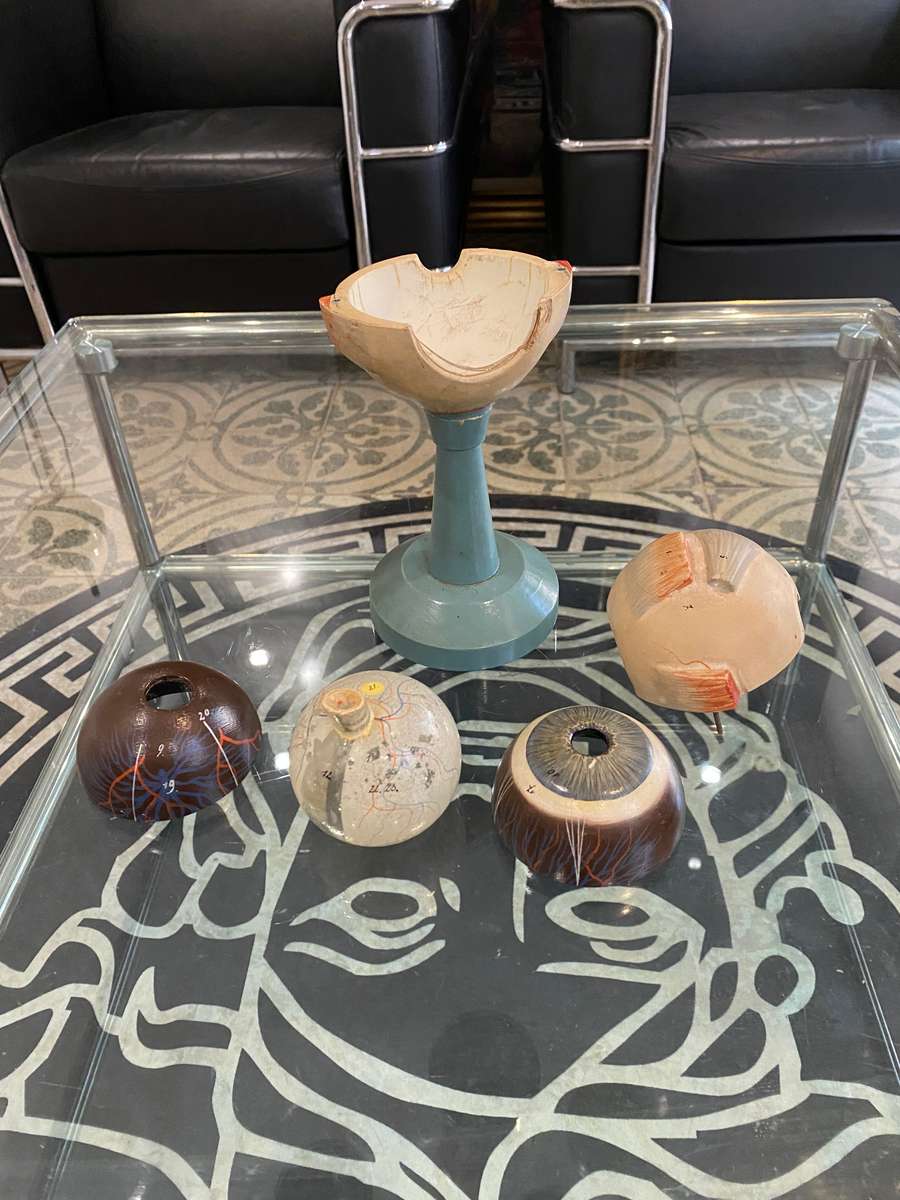 Anatomical Eye Model 1920s