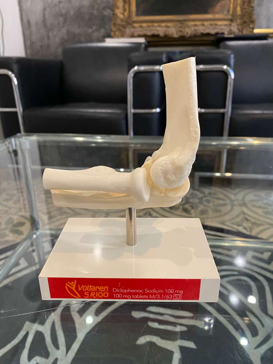 Human Elbow Joint Case