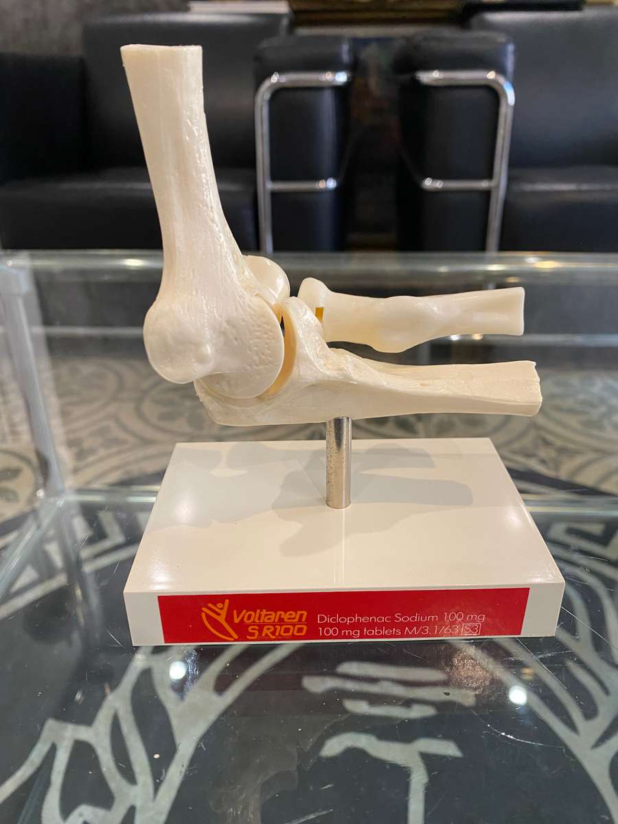 Human Elbow Joint Case