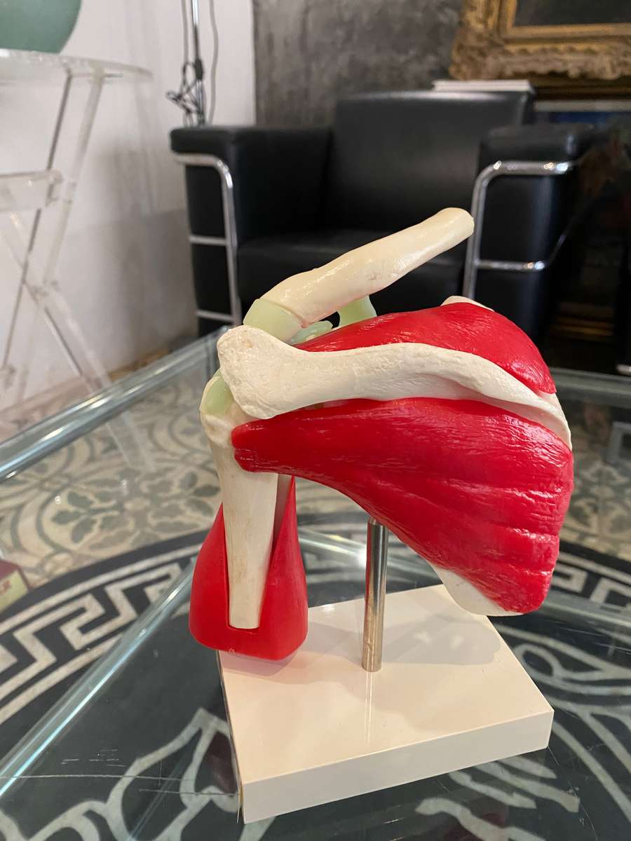 Voltaren Gel 50g for Human Shoulder Joint