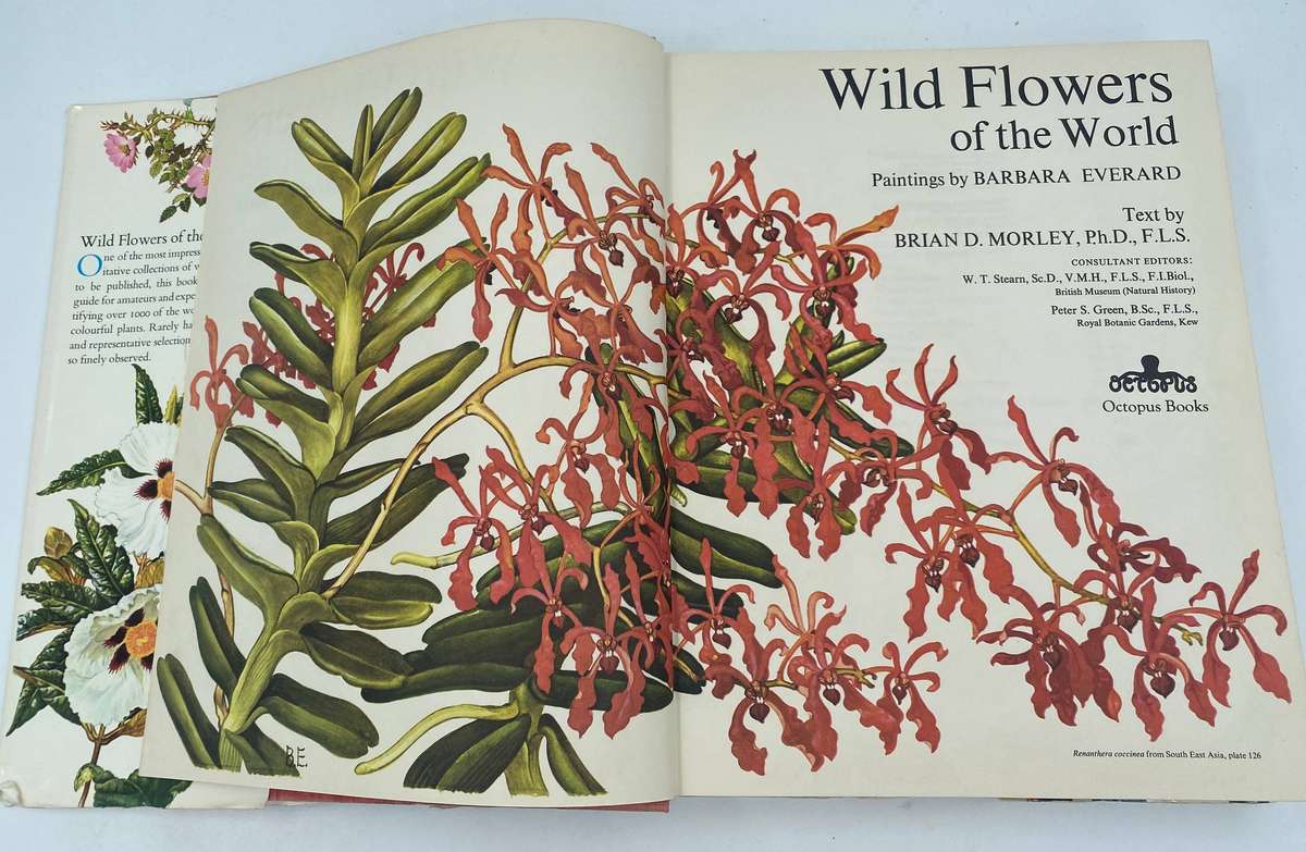 Wild Flowers Of The World - Barbara Everard , Brian D. Morley