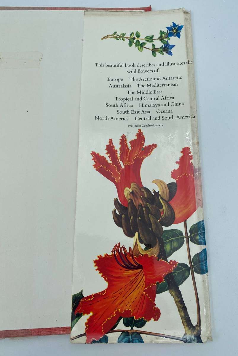 Wild Flowers Of The World - Barbara Everard , Brian D. Morley