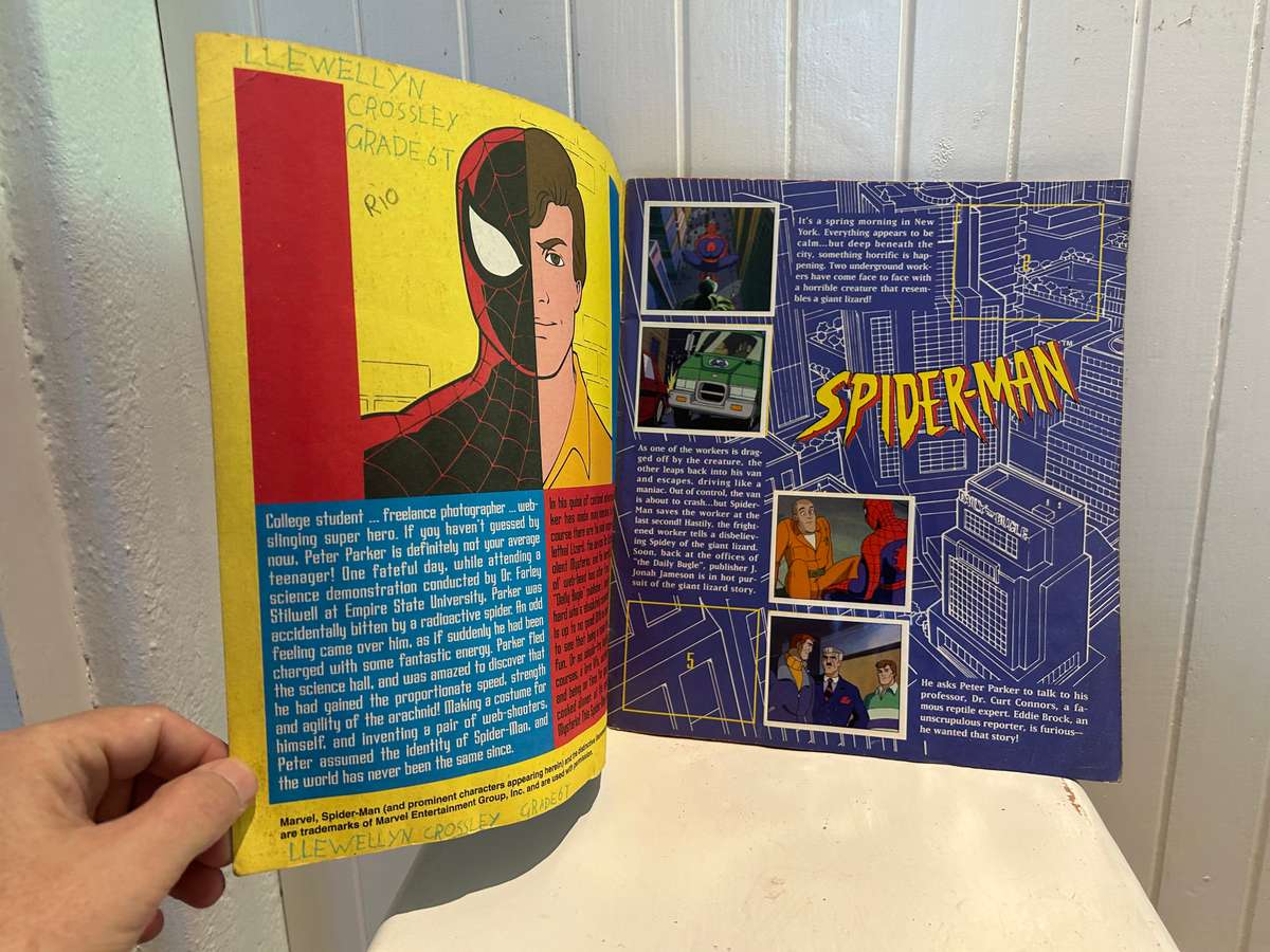 Vintage Panini Italy 1995 SPIDER-MAN Animated 2 Albums & 1 x box of 100 sealed packs of 5 stickers