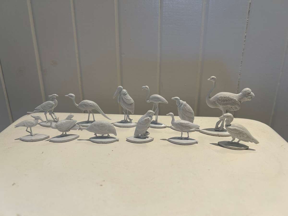 Extremely rare 1960s complete set of 12 FANTA Wild Birds of South Africa - Coke Coca Cola company