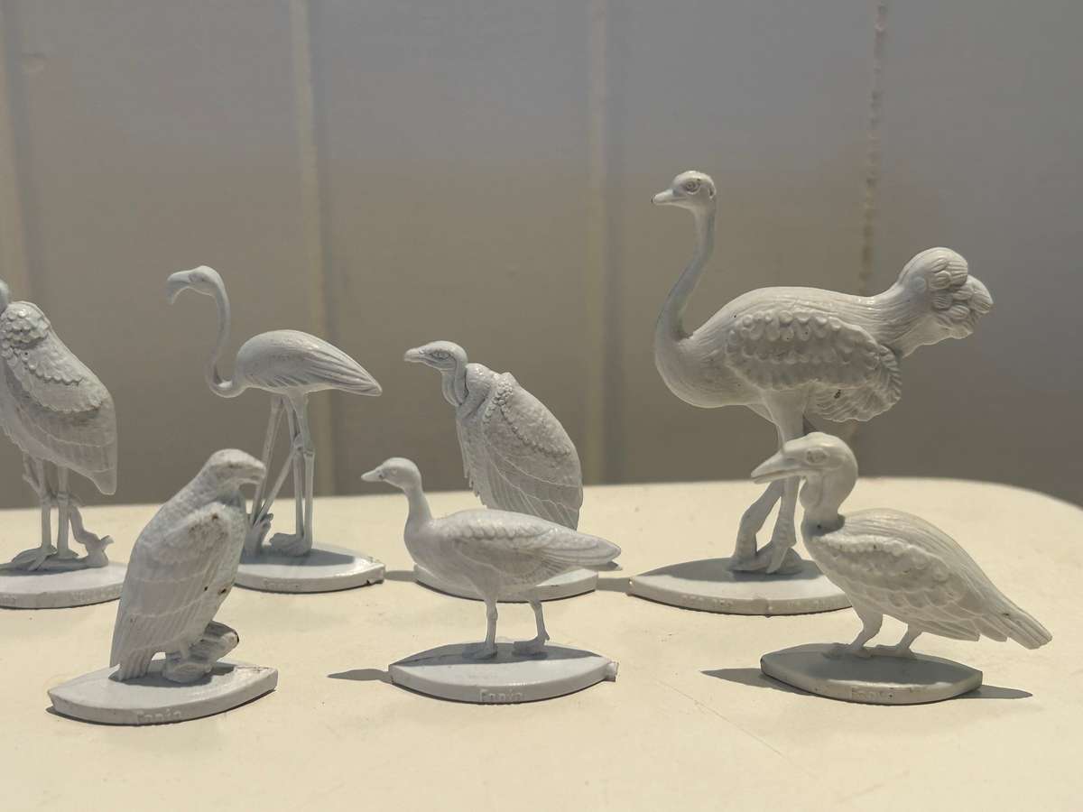 Extremely rare 1960s complete set of 12 FANTA Wild Birds of South Africa - Coke Coca Cola company