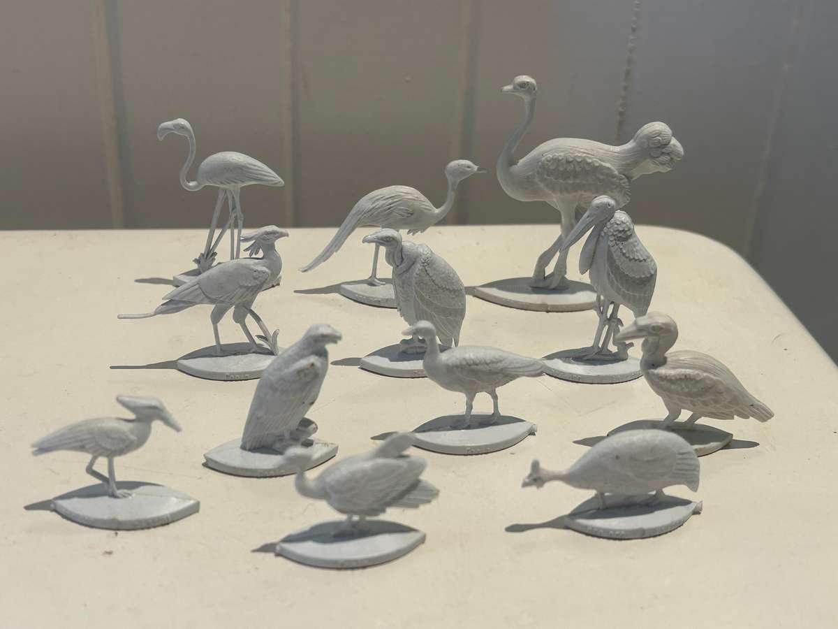 Extremely rare 1960s complete set of 12 FANTA Wild Birds of South Africa - Coke Coca Cola company