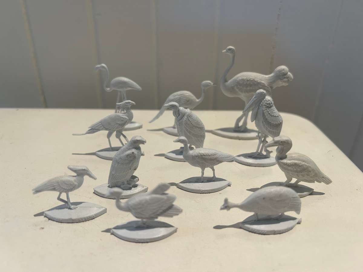 Extremely rare 1960s complete set of 12 FANTA Wild Birds of South Africa - Coke Coca Cola company